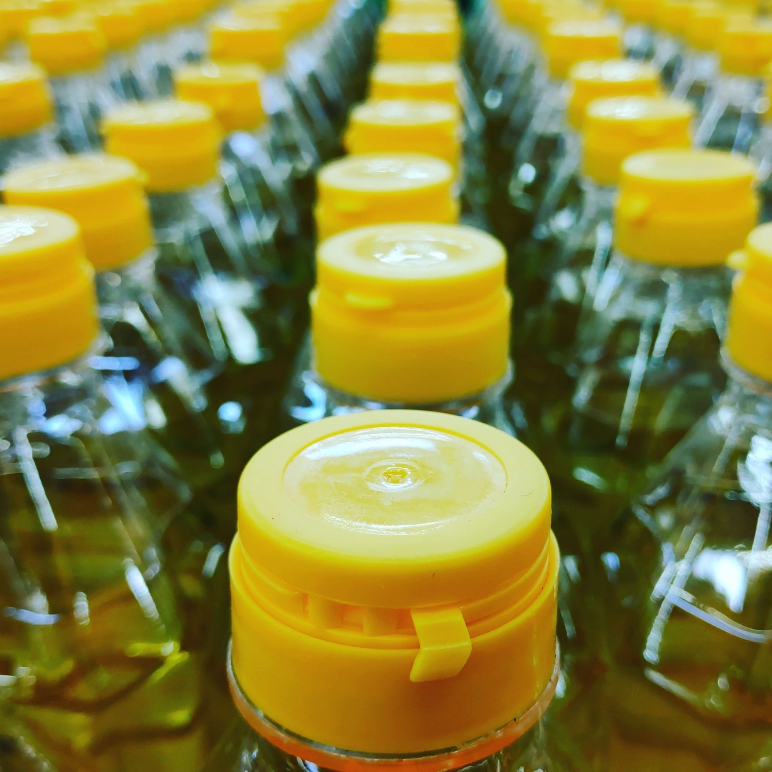 Edible Oil Bottles 